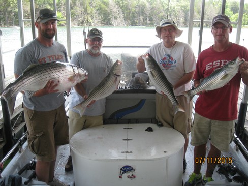 Nice Striped Bass